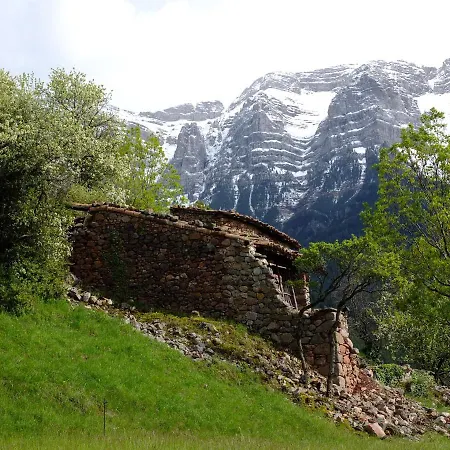 Orman Evi Cal Sansa Cava